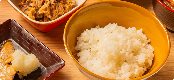 遠州名物しらすごはん