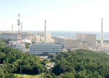 観光情報のご案内